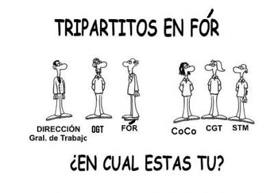 "Ni el Doctor Cavadas podría reconstruir una cara tan dura."